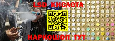 ГАЛЛЮЦИНОГЕННЫЕ ГРИБЫ Можга