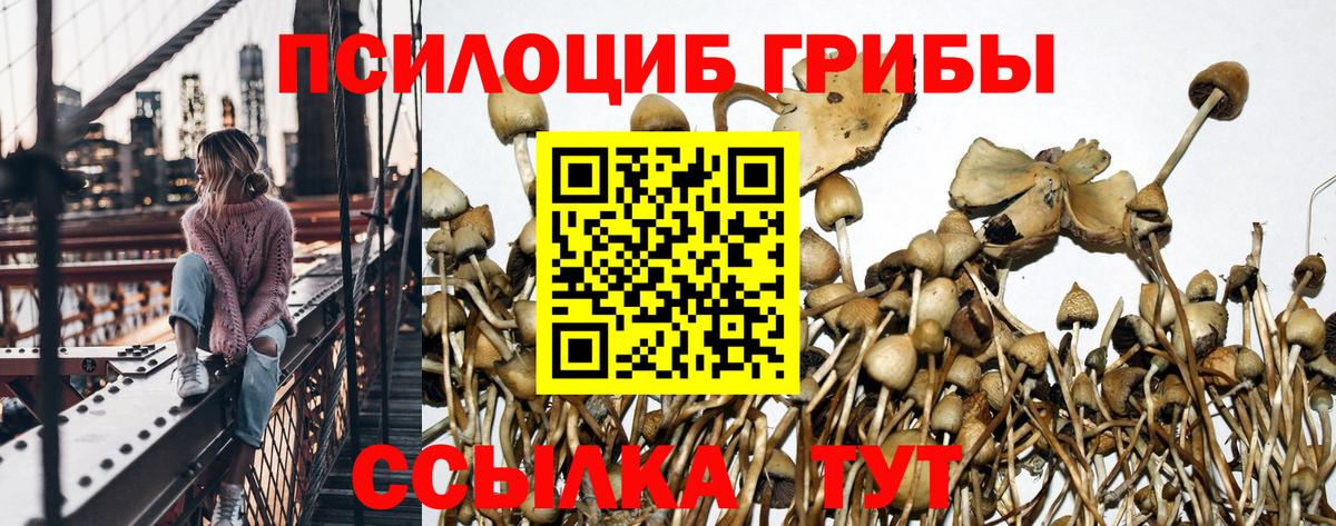 Галлюциногенные грибы мицелий Чапаевск