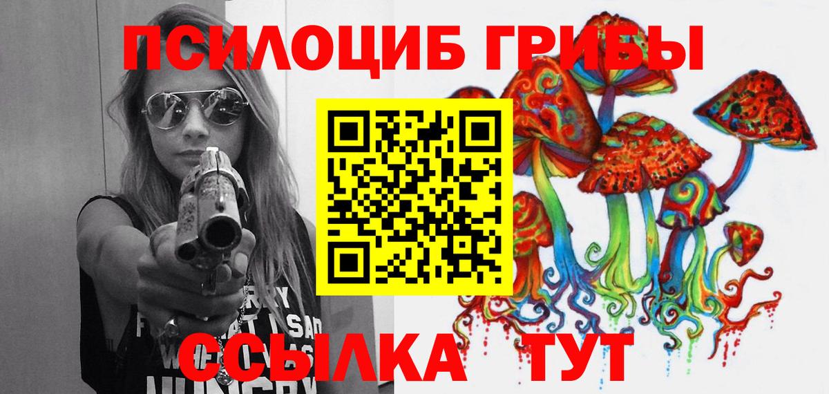 Псилоцибиновые грибы прущие грибы  Псилоцибиновые грибы Psilocybe  Чапаевск  Вход с VPN 